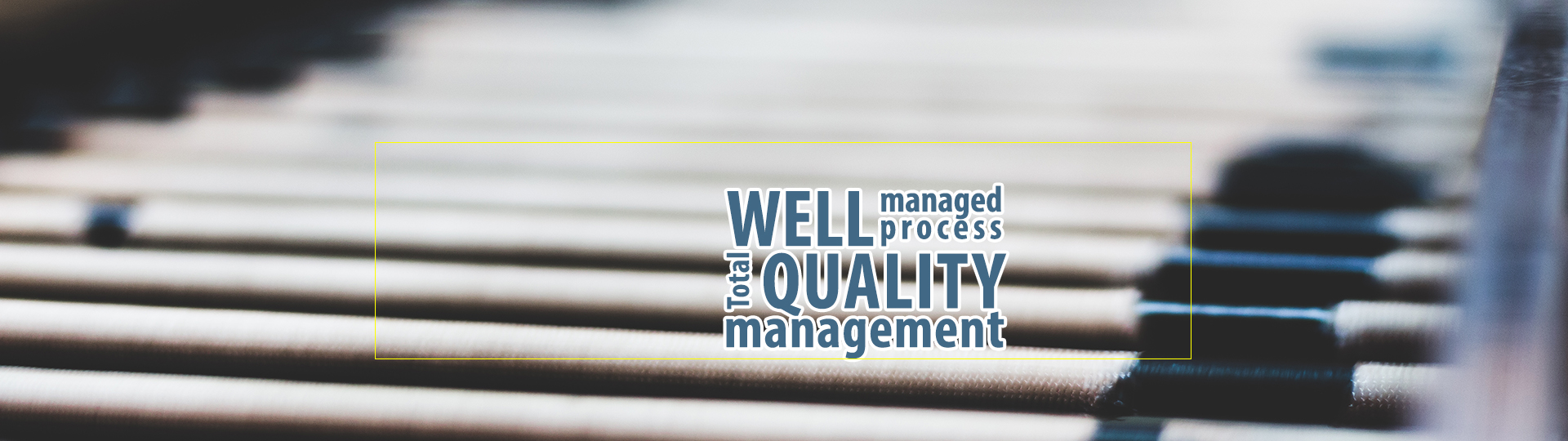 wellmanagedprocesstotalqualitymanagement1635924416296926200